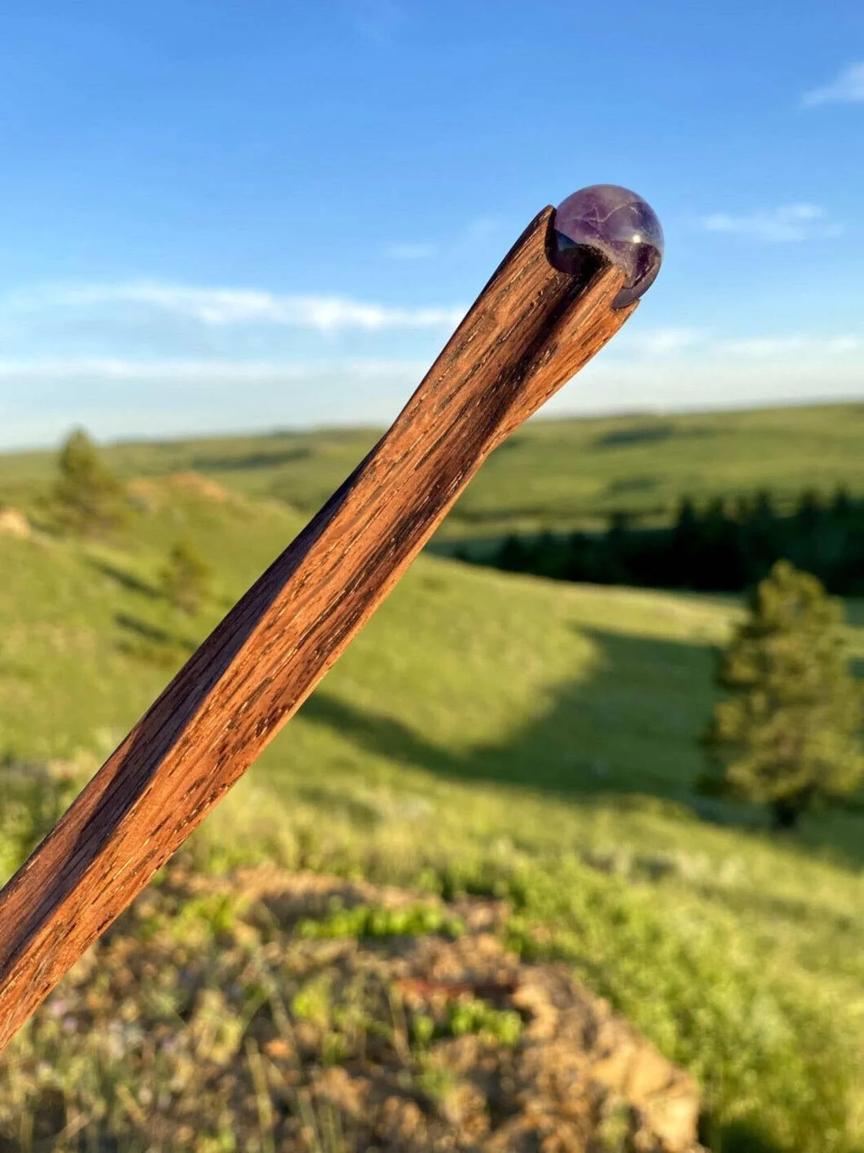 Wands in the Wild — Prairie to Pines
